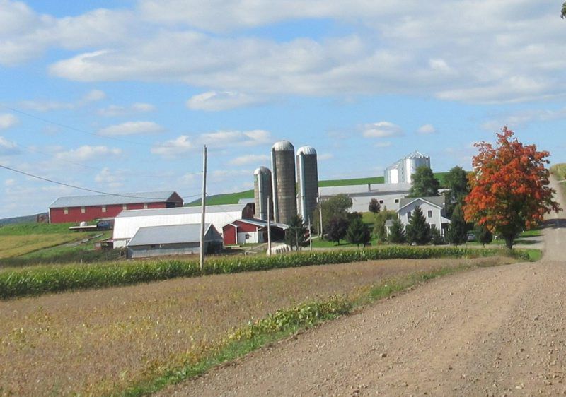 Croptalk-Soybean3.jpg